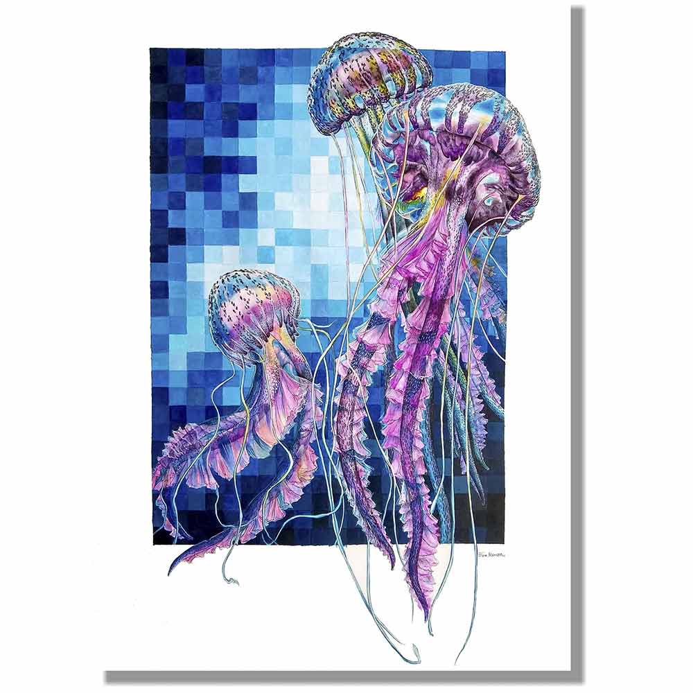 Eva Menezz - medusa